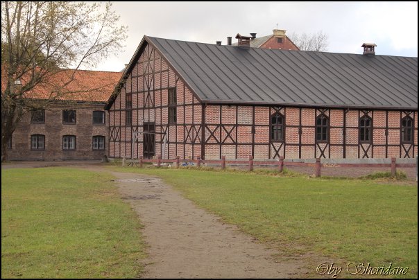 Oslo003_2012.jpg