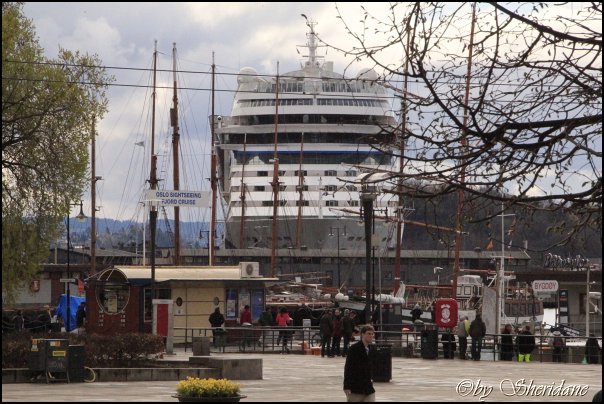 Oslo021_2012.jpg