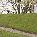 Oslo006_2012.jpg