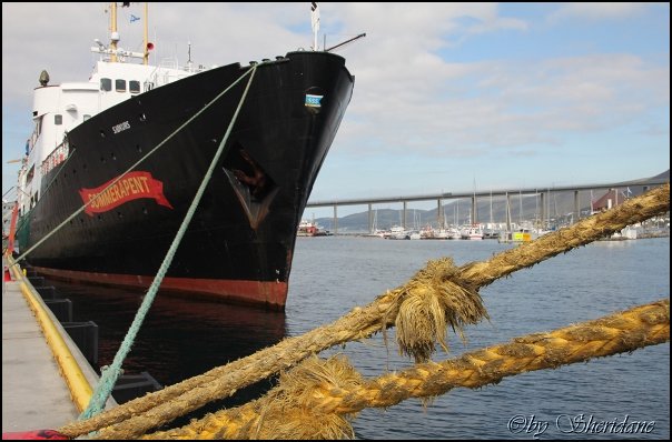 Tromso020.jpg