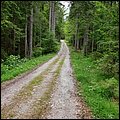 Hochkoenig21065.jpg