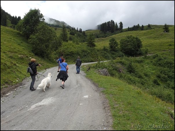 Rauris14036.jpg