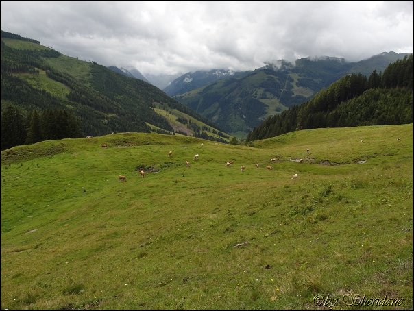 Rauris14044.jpg