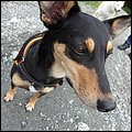 Rauris14040.jpg
