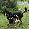Rauris14043.jpg