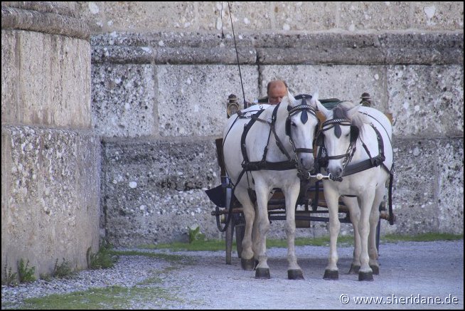 Salzburg15020.jpg