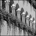 Salzburg15006.jpg