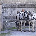 Salzburg15020.jpg