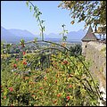 Salzburg15028.jpg