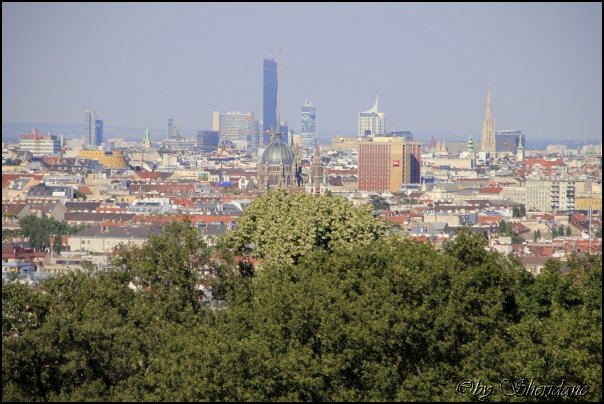 Wien2013034.jpg