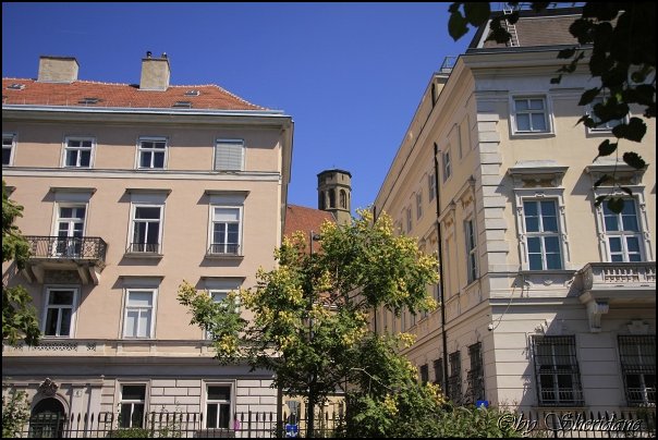 Wien2013048.jpg