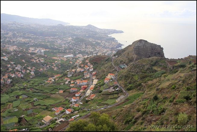 Madeira15008.jpg