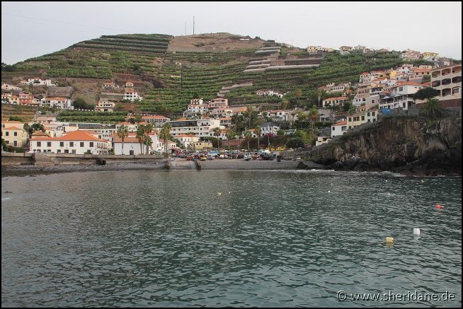 Madeira15019.jpg