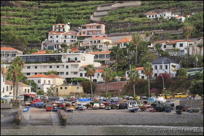Madeira15020.jpg