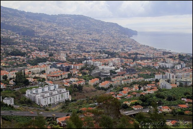 Madeira15027.jpg