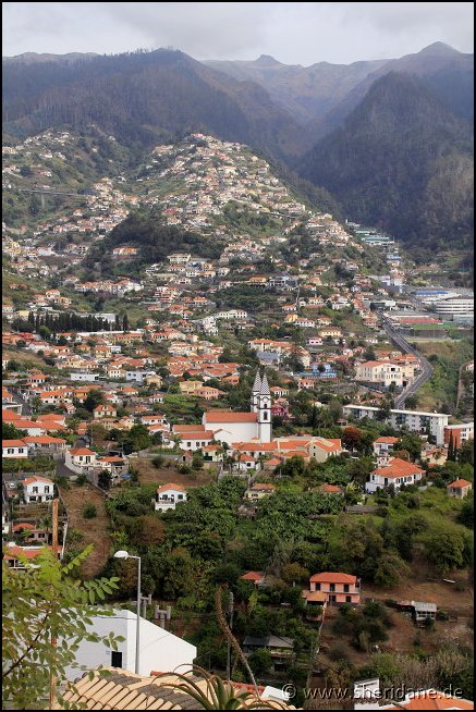 Madeira15030.jpg