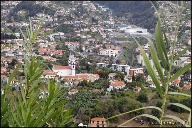 Madeira15031.jpg