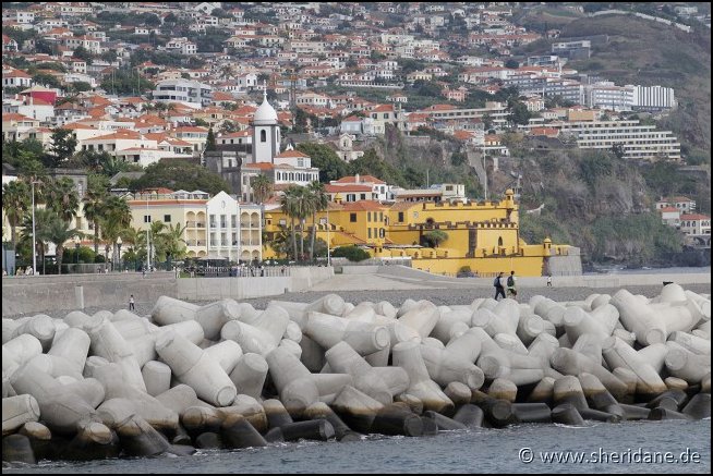 Madeira15053.jpg