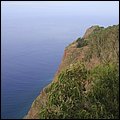 Madeira15003.jpg