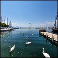 Lausanne20008.jpg
