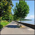 Lausanne20018.jpg