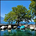Schweiz20039.jpg