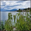 Neuchatel20062.jpg