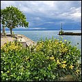 Neuchatel20073.jpg