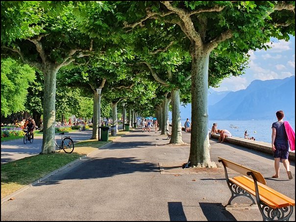 Vevey20004.jpg