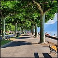 Vevey20004.jpg