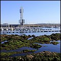 Coruna15012.jpg