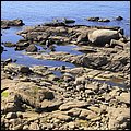Coruna15034.jpg