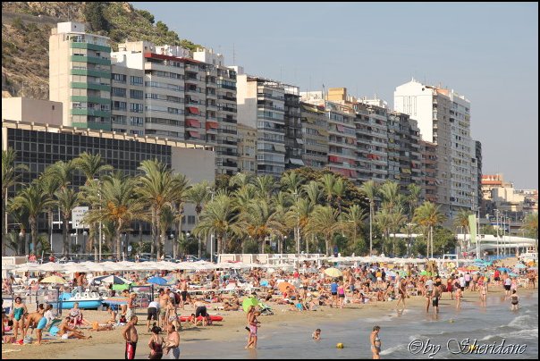 Alicante033.jpg