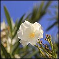 Alicante026.jpg