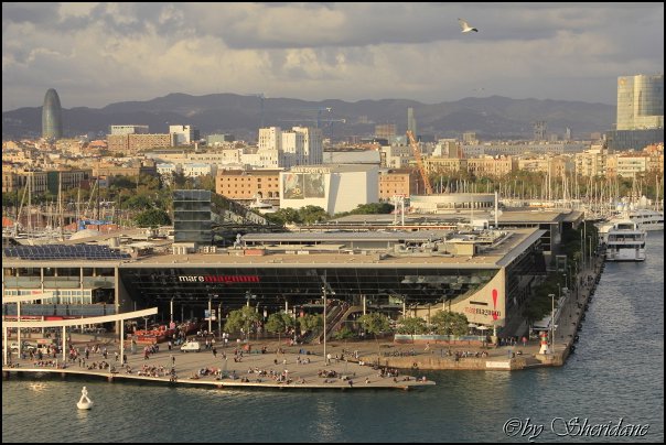 Barcelona12005.jpg