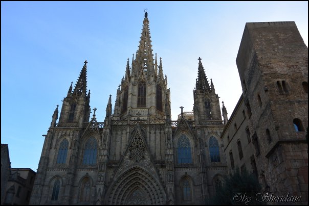 Barcelona1212008.jpg
