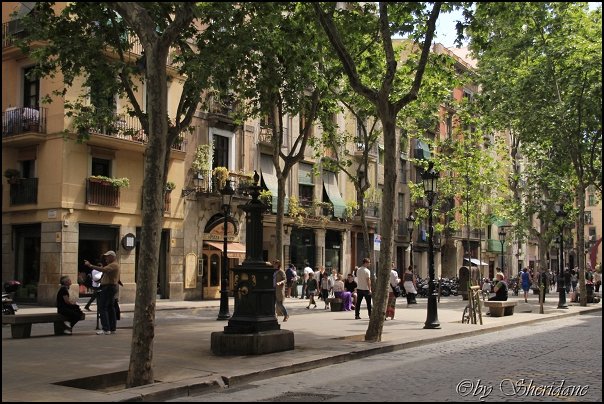 Barcelona14068.jpg