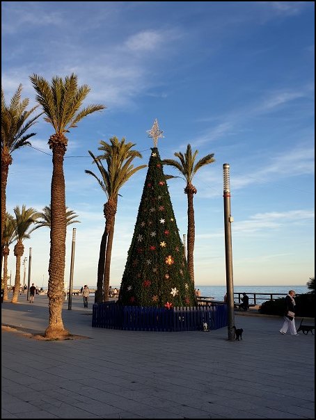 Alicante19094.jpg