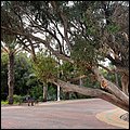 Alicante19013.jpg