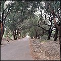 Alicante19019.jpg
