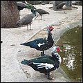 Alicante19022.jpg