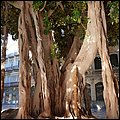 Alicante19056.jpg