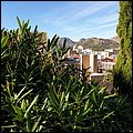 Alicante19061.jpg