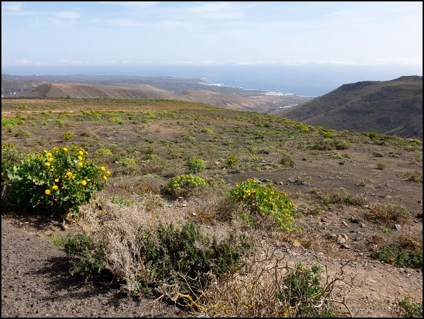 Lanza20018.jpg