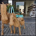 Lanza20009.jpg