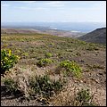 Lanza20018.jpg