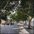 Lanza20026.jpg