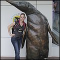 Loro17015.jpg