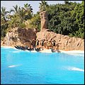 Loro17039.jpg