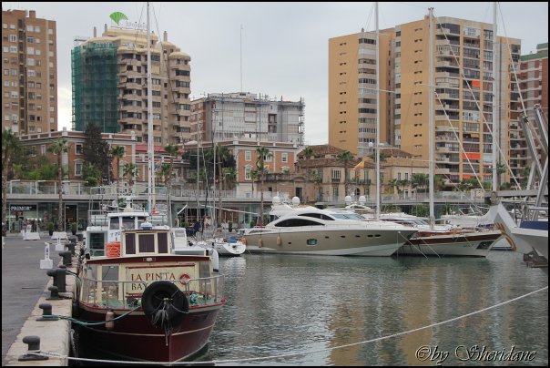 Malaga12004.jpg
